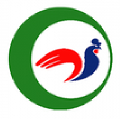 Client 12
